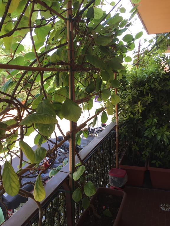 La Fontana Di Carlotta Bed & Breakfast Roma